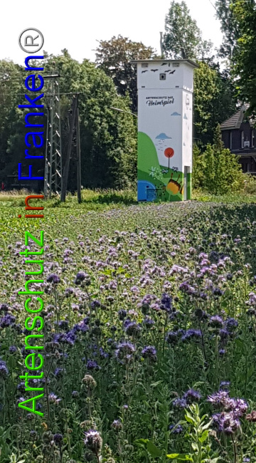 © Artenschutz in Franken® / M.Sonfeld Bild zum Eintrag (1026400-160)