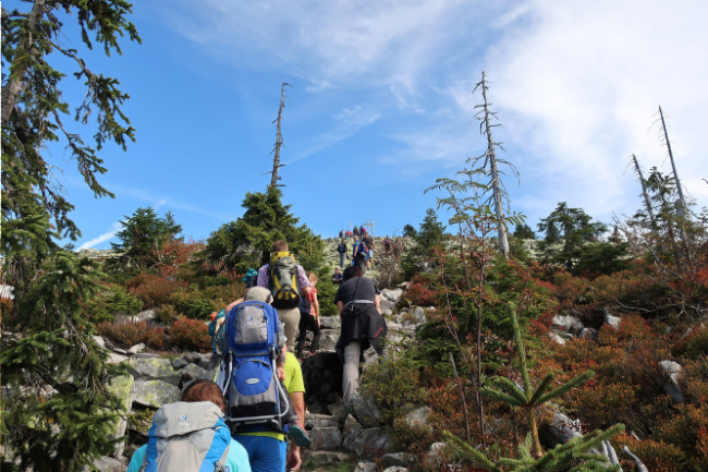 © Foto: Florian Porst/Nationalpark Bayerischer Wald Bild zum Eintrag (1026408-160)