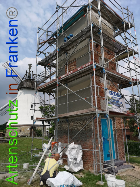 © Artenschutz in Franken® / Vennemann Bild zum Eintrag (1026720-160)