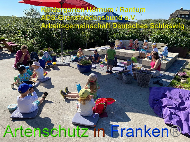 © Artenschutz in Franken® Kindergarten Hörnum / Rantum ADS-Grenzfriedensbund e.V. Arbeitsgemeinschaft Deutsches Schleswig Bild zum Eintrag (1026731-160)