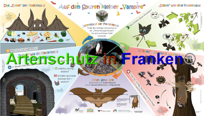 © Artenschutz in Franken® Bild zum Eintrag (1026733-160)