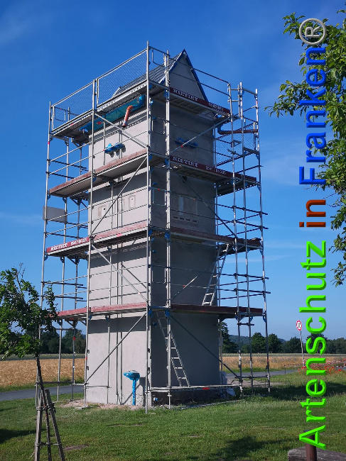 © Artenschutz in Franken® / Vennemann Bild zum Eintrag (1026812-160)