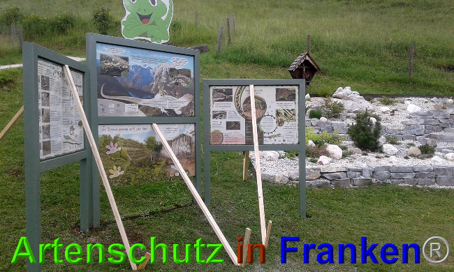 © Artenschutz in Franken® Bild zum Eintrag (1026883-160)
