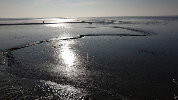 © Ahlborn / LKN.SH Bild zum Eintrag (1027011-160)