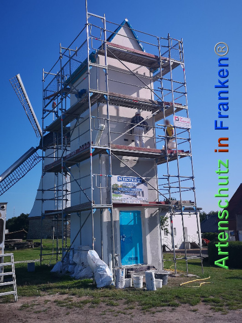 © Artenschutz in Franken® / Vennemann Bild zum Eintrag (1027052-160)