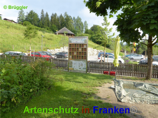 Bild zum Eintrag (1027444-160)