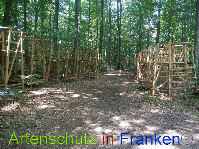 Bild zum Eintrag (1029006-160)