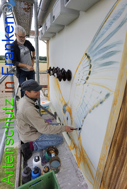 © Artenschutz in Franken® / Vennemann Bild zum Eintrag (1029756-160)