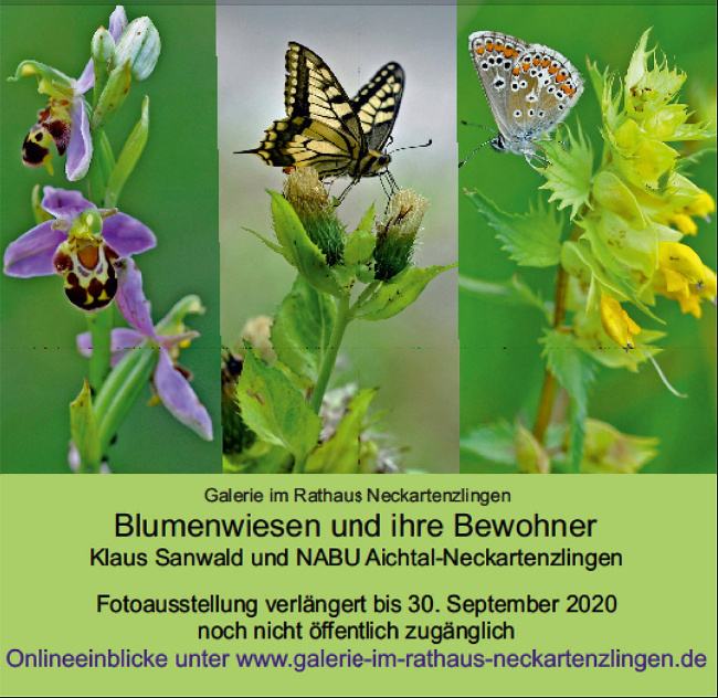 Bild zum Eintrag (1030434-160)