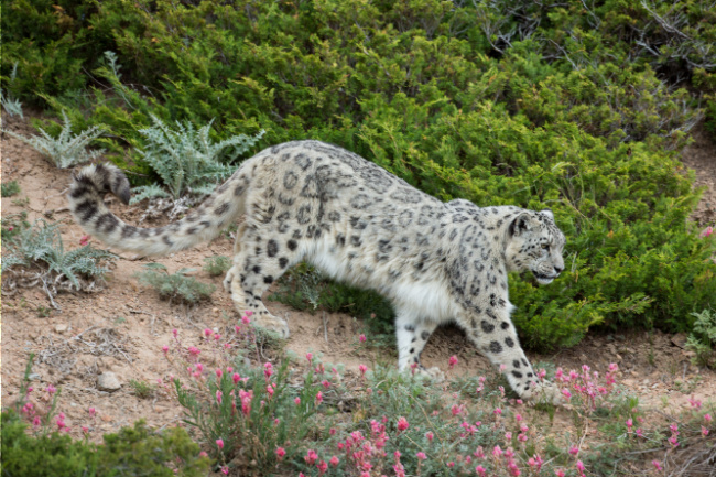 © NABU/Klemens Karkow Bild zum Eintrag (1030586-160)