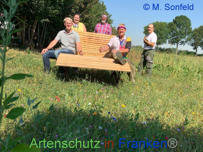 © Artenschutz in Franken® / M.Sonfeld Bild zum Eintrag (1031004-160)