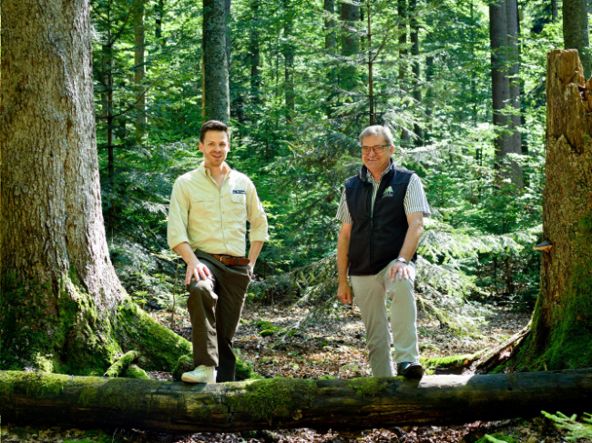 © (Foto: Daniela Blöchinger /Nationalpark Bayerischer Wald) Bild zum Eintrag (1031206-160)