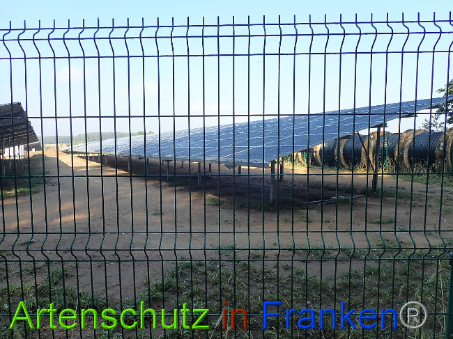 © Artenschutz in Franken® Bild zum Eintrag (1031447-160)