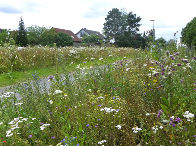 © (Foto: UNB MKK) Bild zum Eintrag (1031479-160)