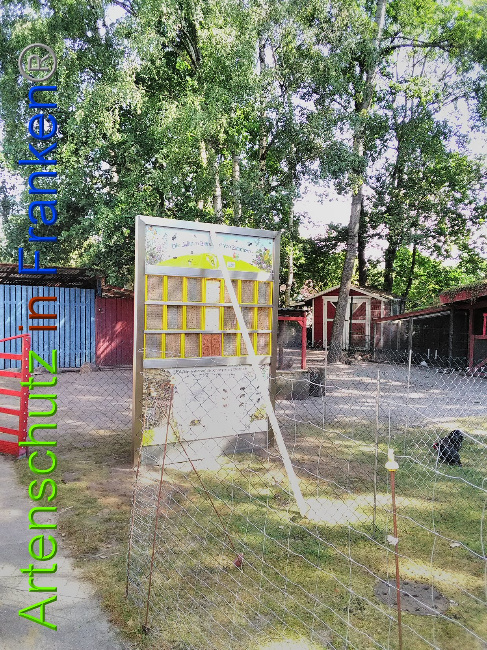 © Artenschutz in Franken® Bild zum Eintrag (1031549-160)