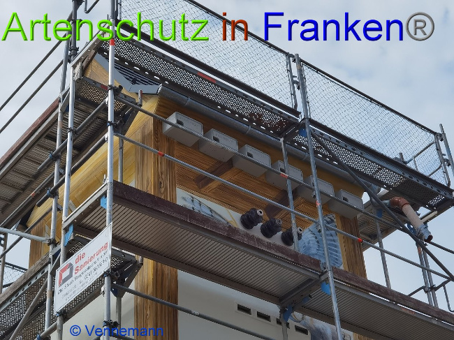 © Artenschutz in Franken® / Vennemann Bild zum Eintrag (1031631-160)