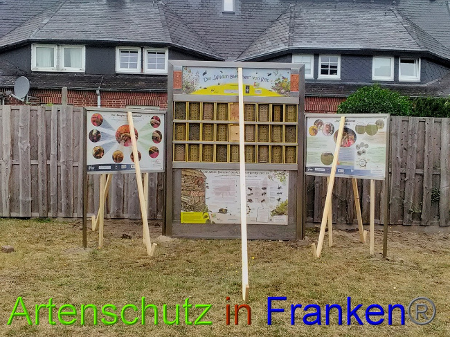 © Artenschutz in Franken® Bild zum Eintrag (1031645-160)