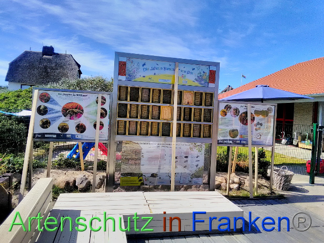 © Artenschutz in Franken® Bild zum Eintrag (1031889-160)