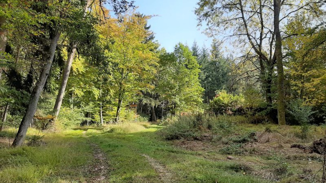 © Foto: Tom Konopka Bild zum Eintrag (1036674-160)