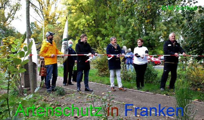 © Artenschutz in Franken® / Sonfeld Bild zum Eintrag (1036969-160)