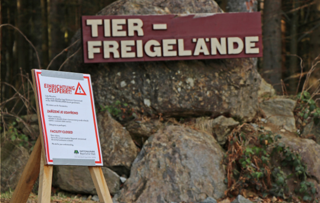 © (Foto: Gregor Wolf/Nationalpark Bayerischer Wald) Bild zum Eintrag (1037112-160)