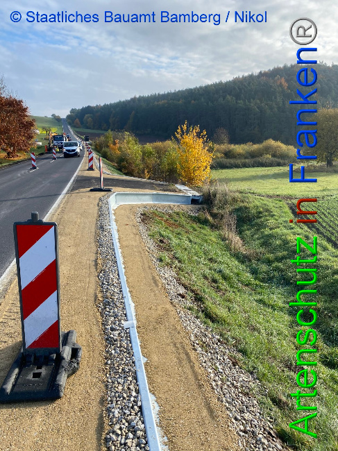 © Artenschutz in Franken® / Staatliches Bauaumt Bamberg / N.Nikol Bild zum Eintrag (1037420-160)