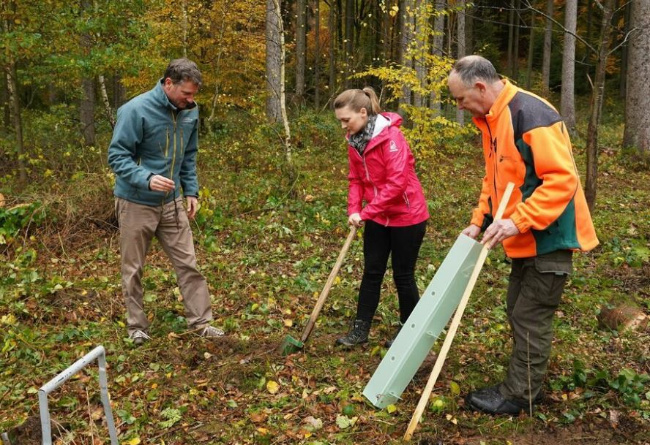 © Bayerische Staatsforsten AöR
Bild zum Eintrag (1037533-160)