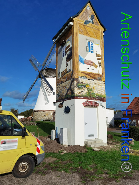 © Artenschutz in Franken® / Vennemann Bild zum Eintrag (1037561-160)