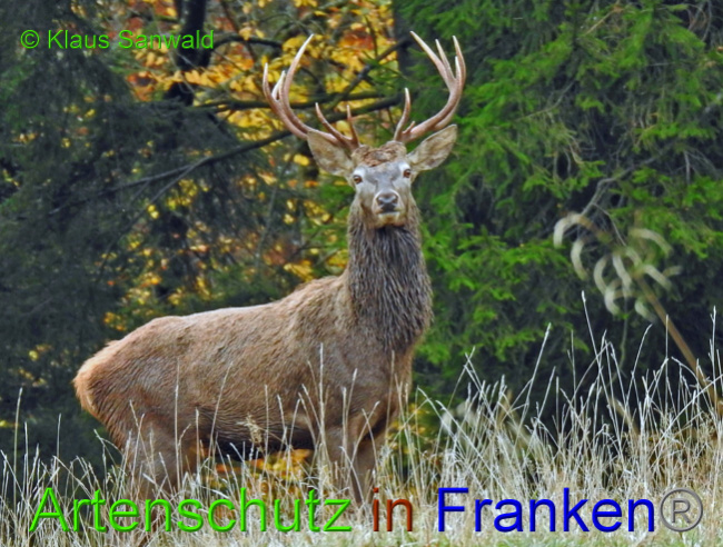 Bild zum Eintrag (1037869-160)