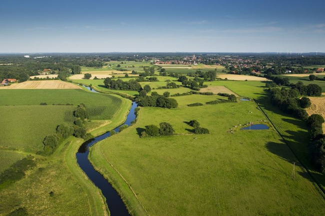 © (Foto: Naturschutzstiftung Grafschaft Bentheim) Bild zum Eintrag (1037927-160)