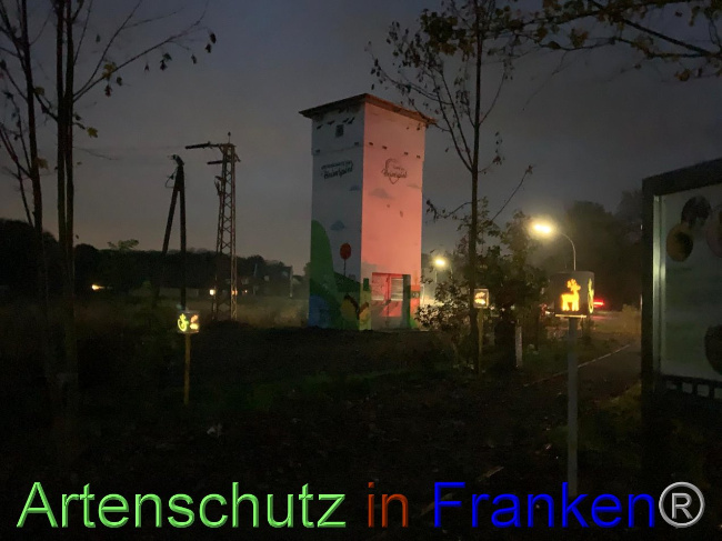 © Artenschutz in Franken® / Michael Sonfeld Bild zum Eintrag (1038495-160)