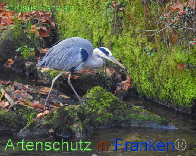 Bild zum Eintrag (1038554-160)