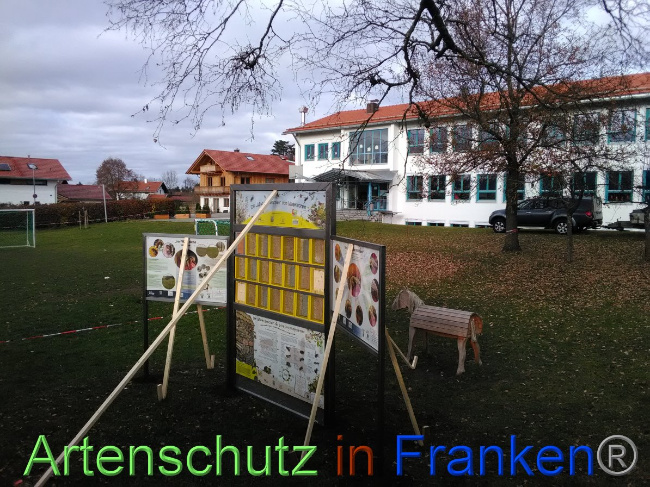 Bild zum Eintrag (1038663-160)