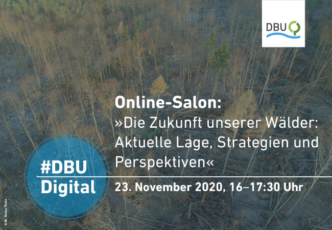© © Deutsche Bundesstiftung Umwelt Bild zum Eintrag (1038787-160)