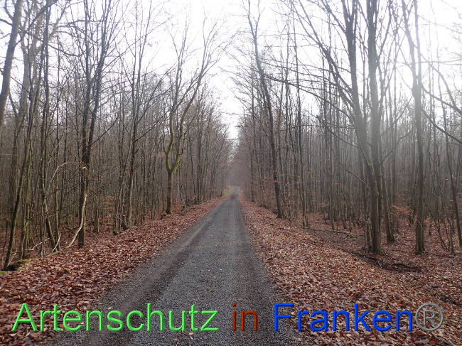 Bild zum Eintrag (1039110-160)