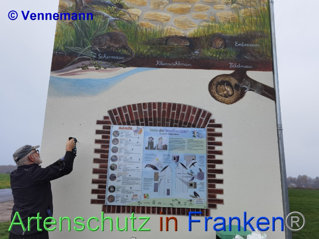 © Artenschutz in Franken® / Vennenmann Bild zum Eintrag (1039224-160)