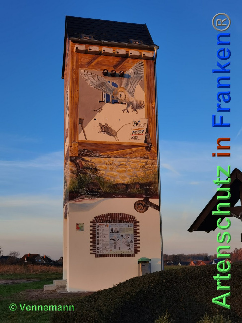 © Artenschutz in Franken® / Vennenmann Bild zum Eintrag (1039530-160)