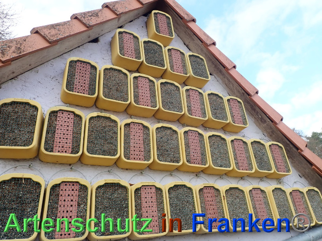 © Artenschutz in Franken® Bild zum Eintrag (1039598-160)