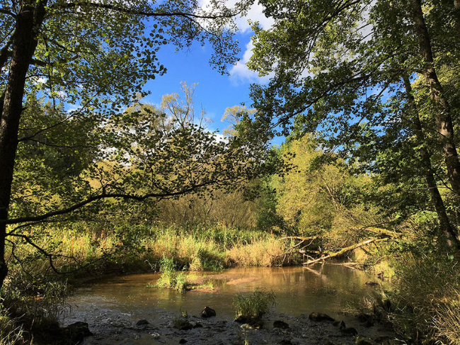 © (Foto: Oliver Kreß) Bild zum Eintrag (1039819-160)