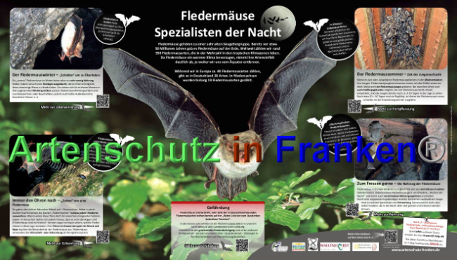 © Artenschutz in Franken® Bild zum Eintrag (1040046-160)