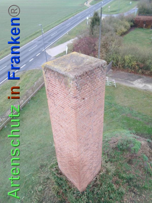© Artenschutz in Franken® Bild zum Eintrag (1040060-160)