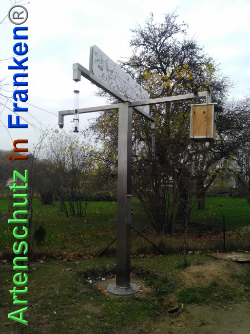 © Artenschutz in Franken® Bild zum Eintrag (1040114-160)