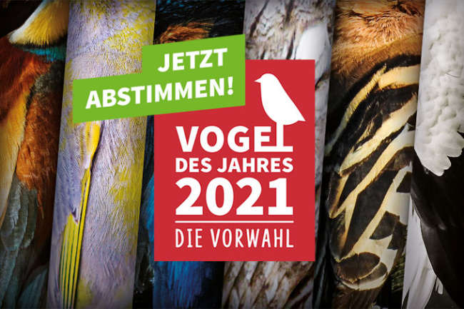 © NABU (Naturschutzbund Deutschland e.V.) Bild zum Eintrag (1041739-160)