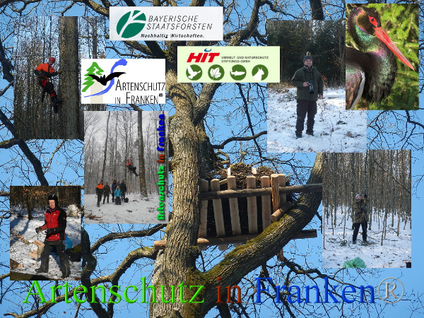 © Artenschutz in Franken® Bild zum Eintrag (1041971-160)