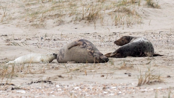 © Foto: Nationalparkverwaltung / Richard Czeck Bild zum Eintrag (1042204-160)