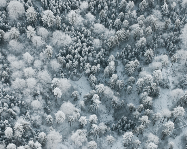© Symbolbild: BaySF/Martin Hertel Bild zum Eintrag (1042623-160)
