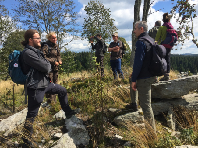 Foto: Leo Reyrink/Nationalpark Šumava Bild zum Eintrag (1042827-160)