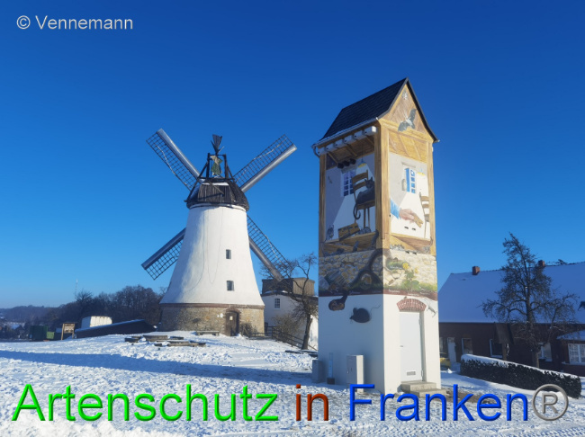 © Artenschutz in Franken® / Vennemann Bild zum Eintrag (1043655-160)