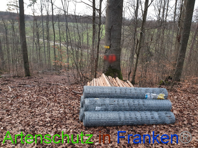 © Artenschutz in Franken® Bild zum Eintrag (1043866-160)