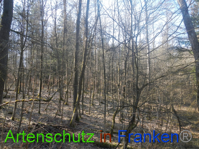 Bild zum Eintrag (1044404-160)